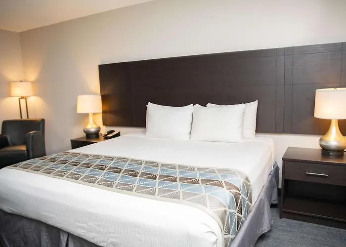 Surestay Plus By Best Western Montrose